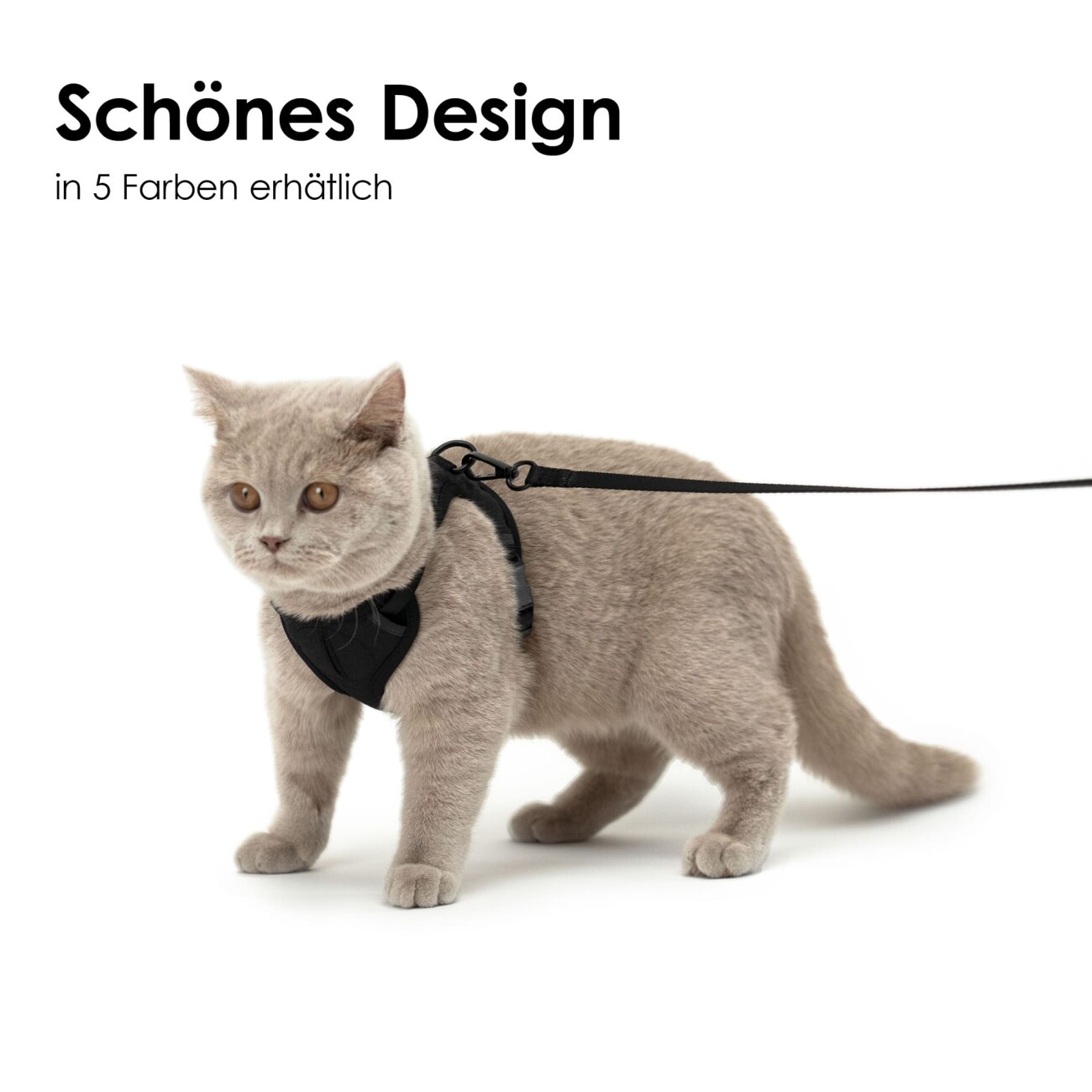 LucyBalu EXPLORER Katzengeschirr schwarz S