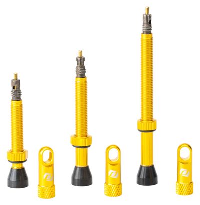 Paire de Valves Tubeless Syncros Presta Gold