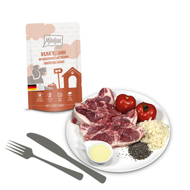 Quetschie - herzhaftes Lamm an gekochtem Reis mit frischen Tomaten und Chiasaat