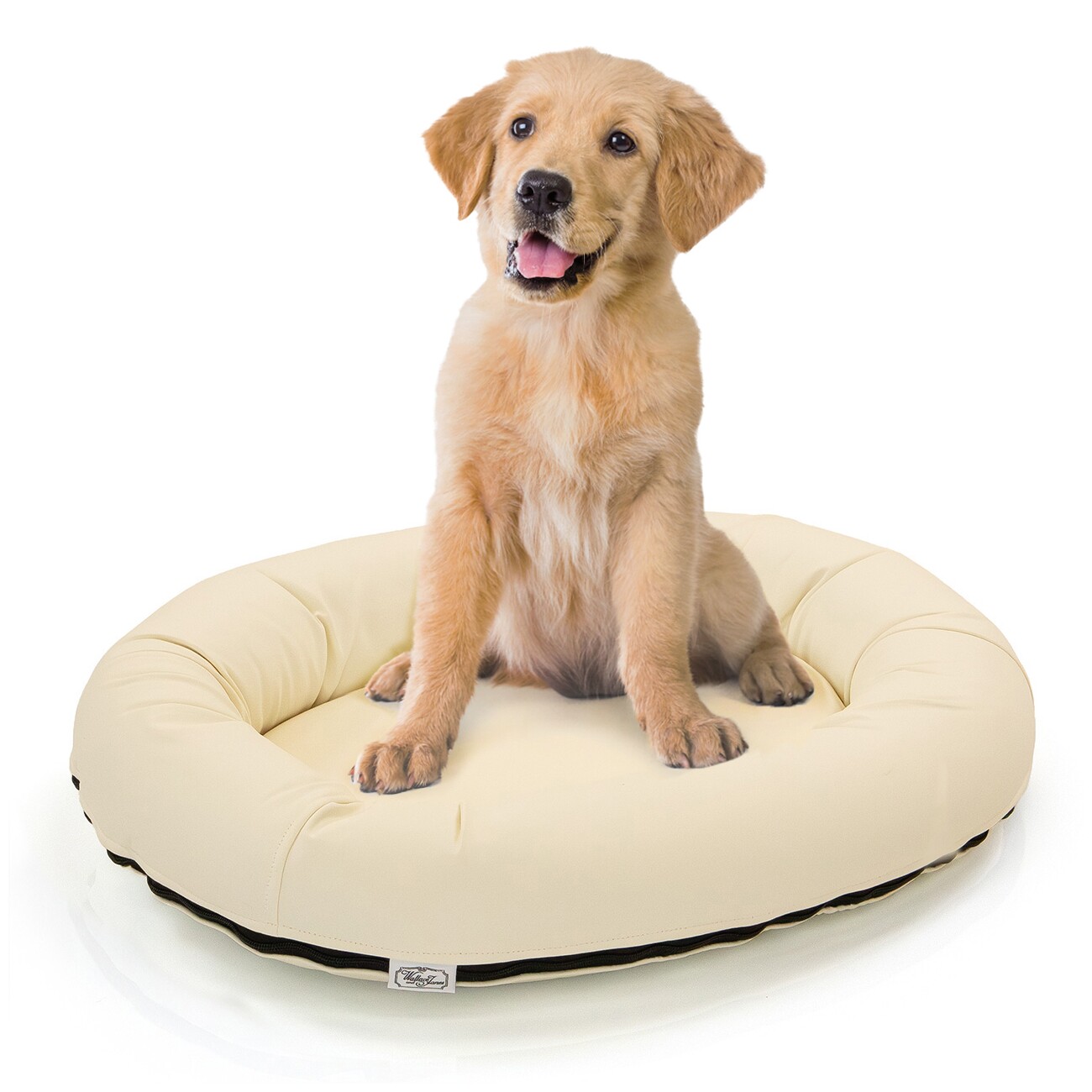 Wallace & Jones orthopädisches Hundebett Bolton creme S