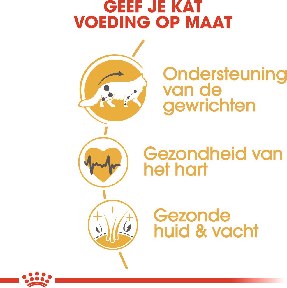 Royal Canin kattenvoer Maine Coon adult 400 g