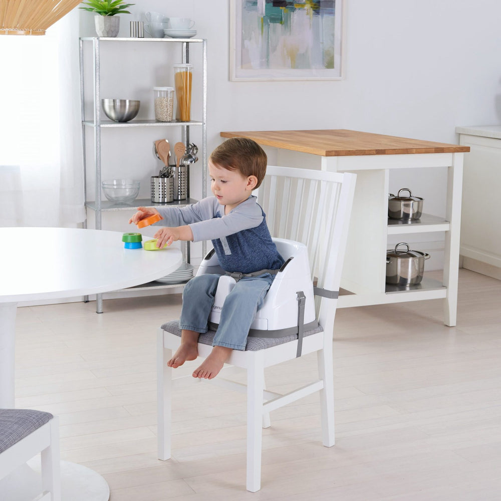 Køb Ingenuity Baby Base 2-In-1 Sæde