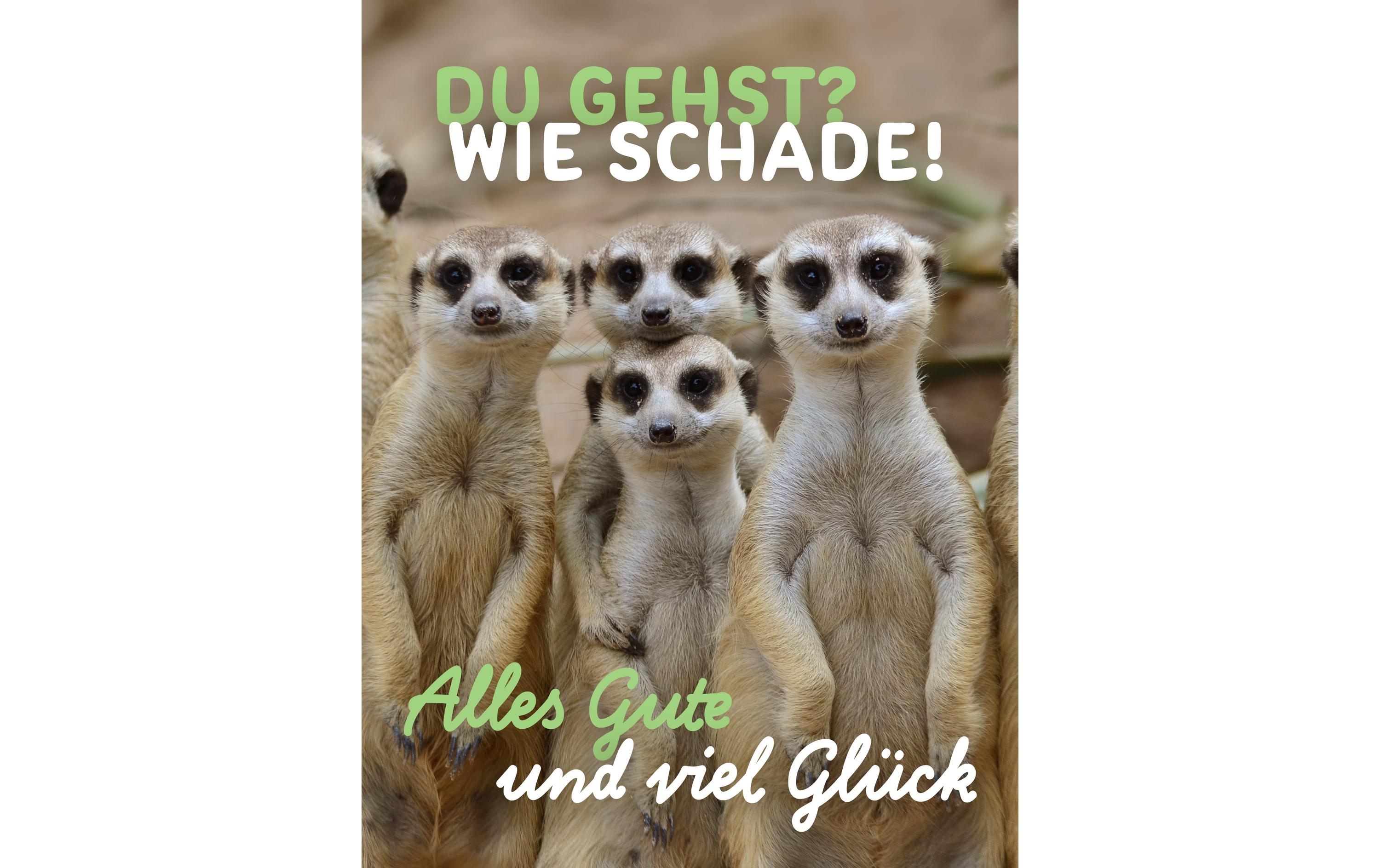 Glückwunschkarte Alles Gute und viel Glück A4Glückwunschkarte