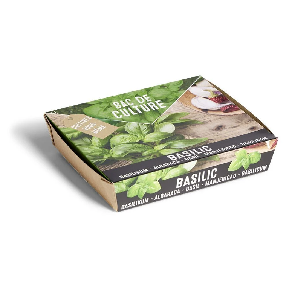 Bac de culture basilic