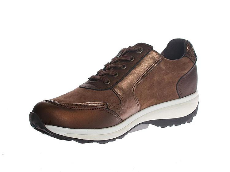 Xsensible 30103.2 Wembley GX Wijdte G Bronze Combi
