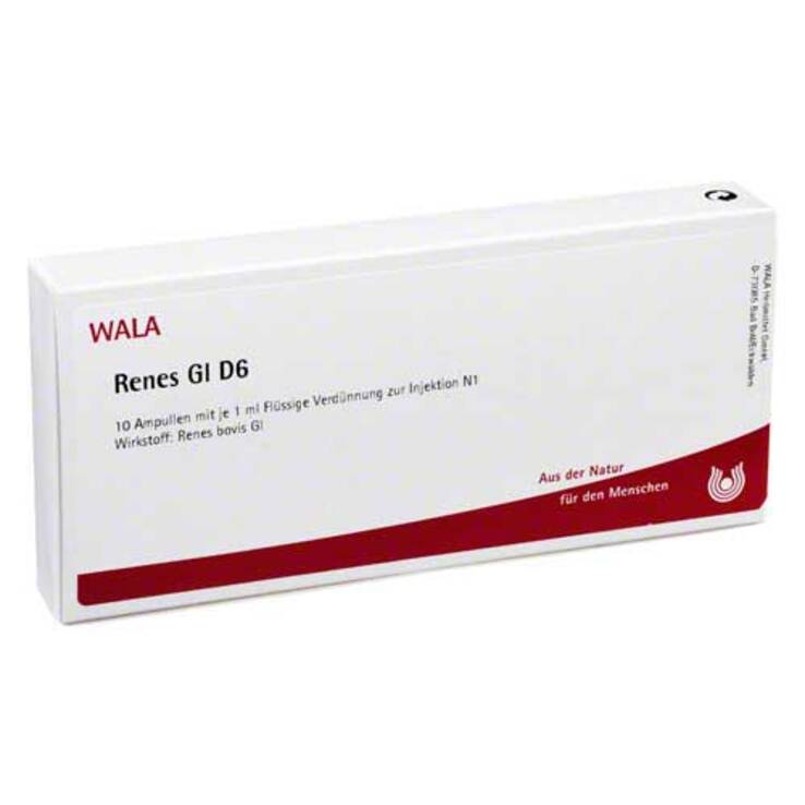Renes GL D 6 Ampullen, 10X1 ml
