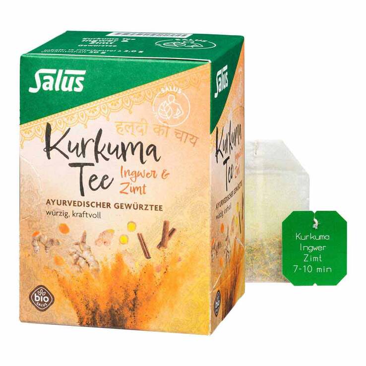 Kurkuma Tee Ingwer & Zimt Bio Salus Filterbeutel, 15 St
