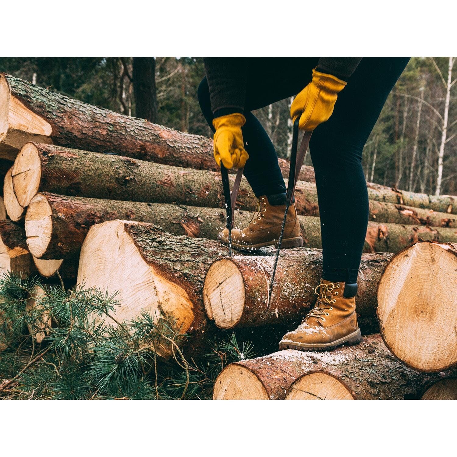 Nordic Pocket Saw Premium