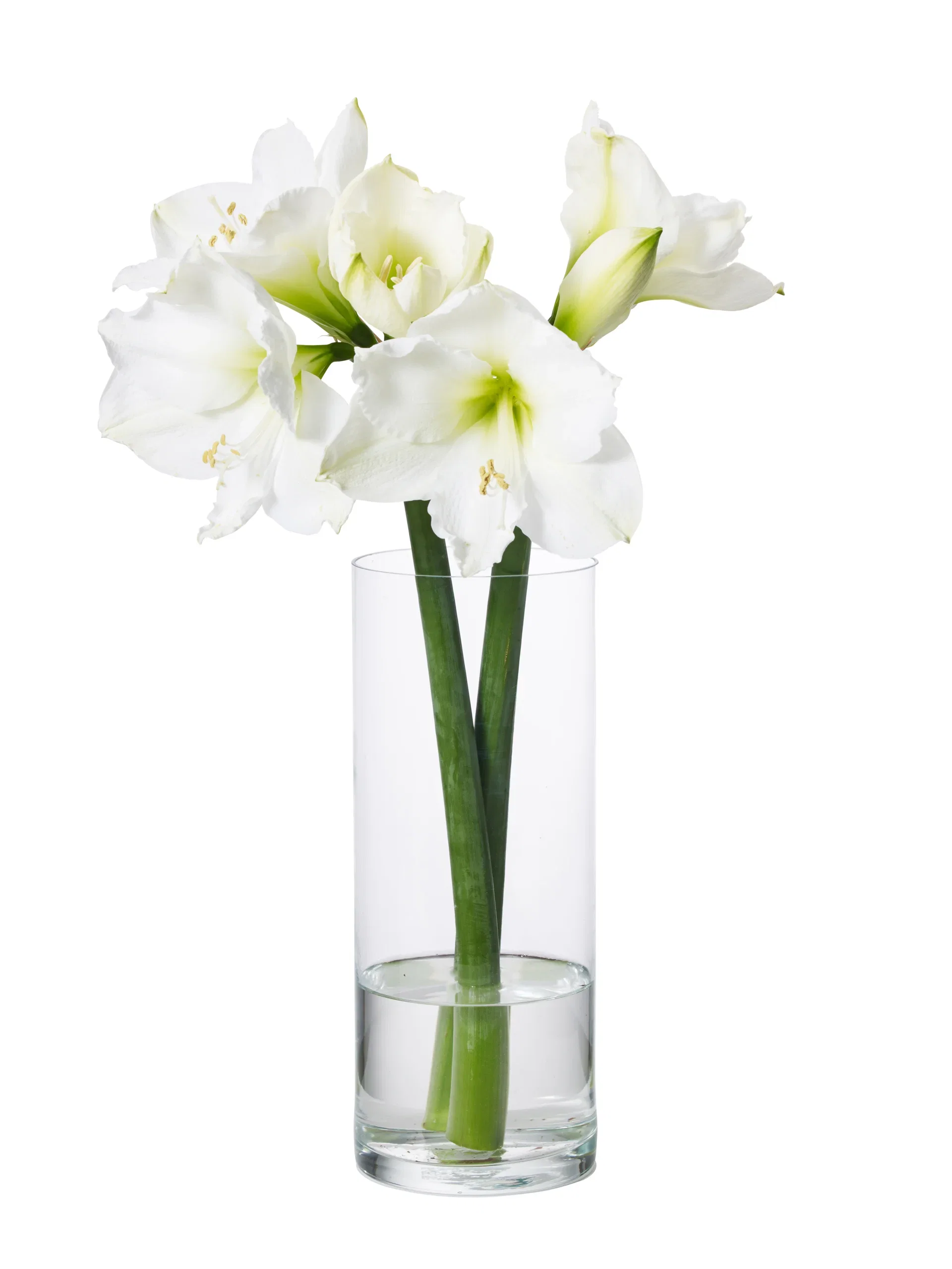 Vase Jennifer Høyde 20 cm