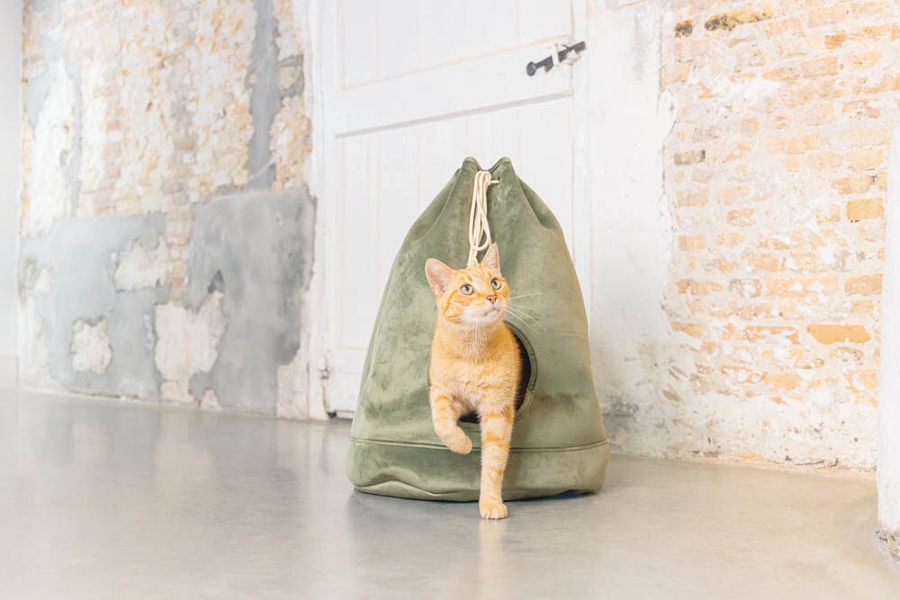 Designed by Lotte Vilar - Kattenhuis - Groen - 60x45x45 cm