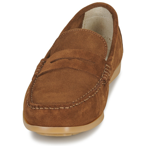Casual Attitude - OSANA - Camel