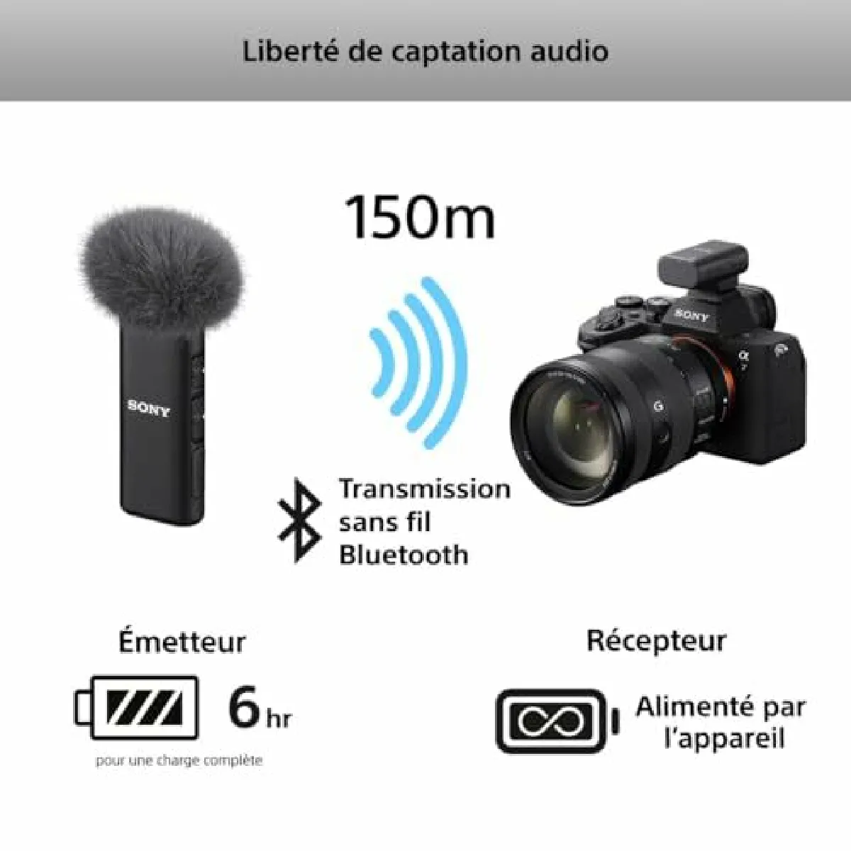 Quantum Sony ECM-W3