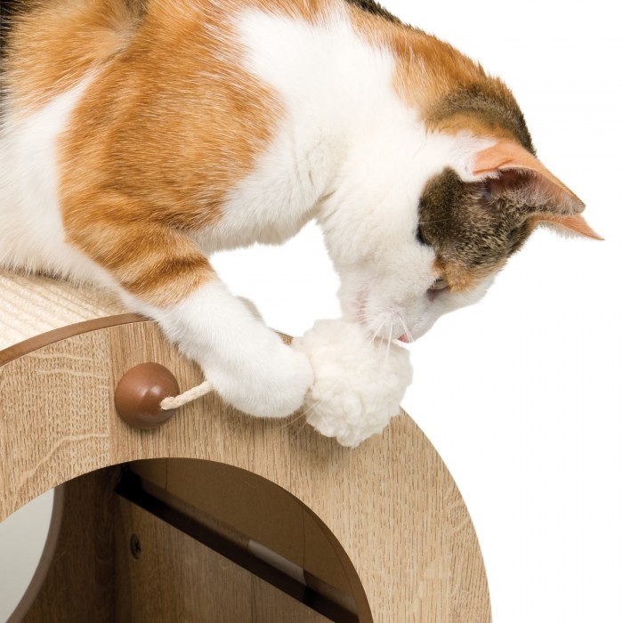 Griffoir Vesper Minou