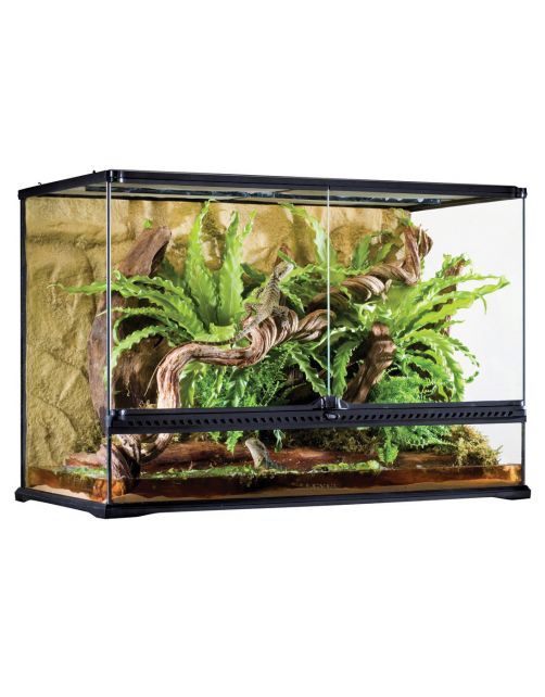 Exo Terra Glas Terrarium - Terraria