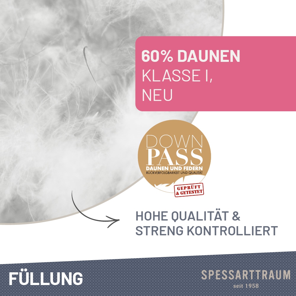 SPESSARTTRAUM Daunenkissen »FIRST CLASS« Füllung: 60% Daunen, 40%Federn 1 Stk. tlg. hergestellt in Deutschland, allergikerfreundlich