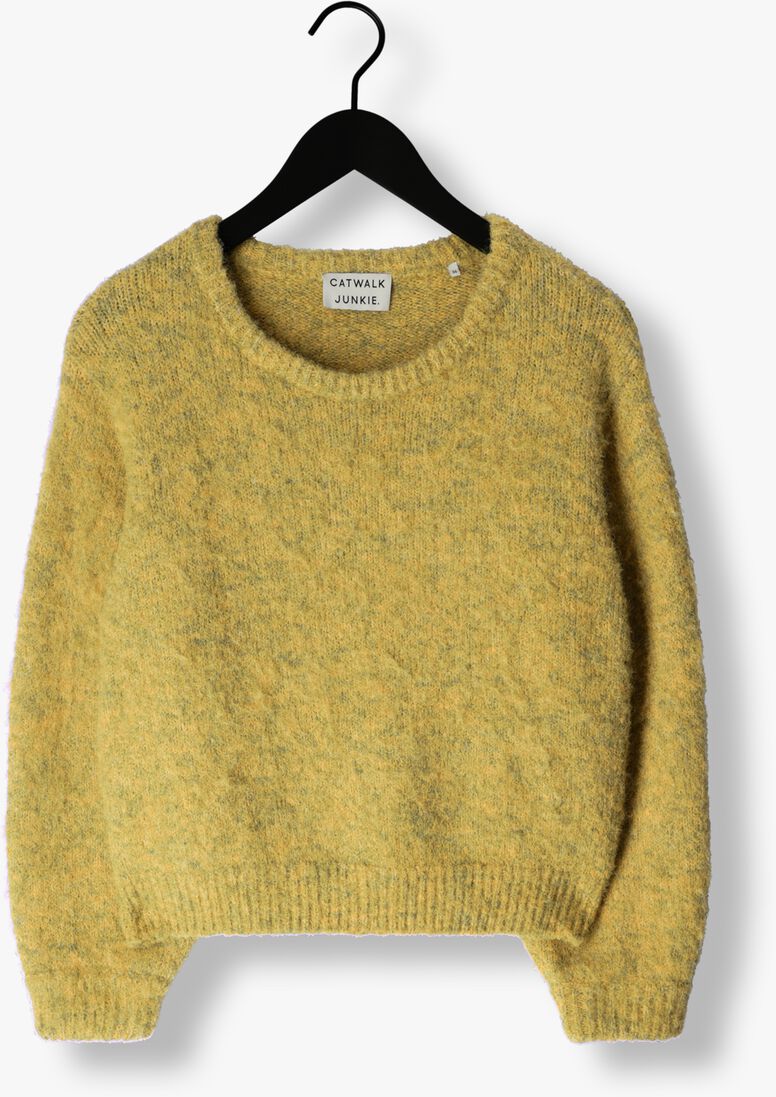 CATWALK JUNKIE groene catwalk junkie trui kn charlie