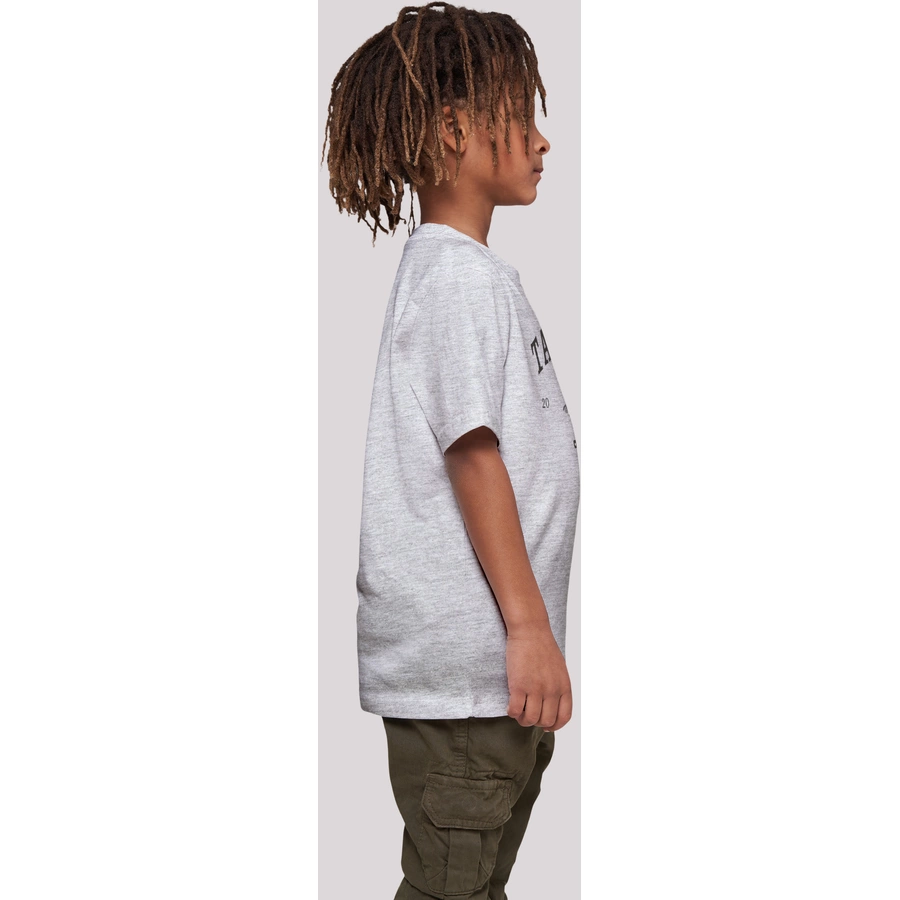 F4NT4STIC T-Shirt Tahiti heather grey