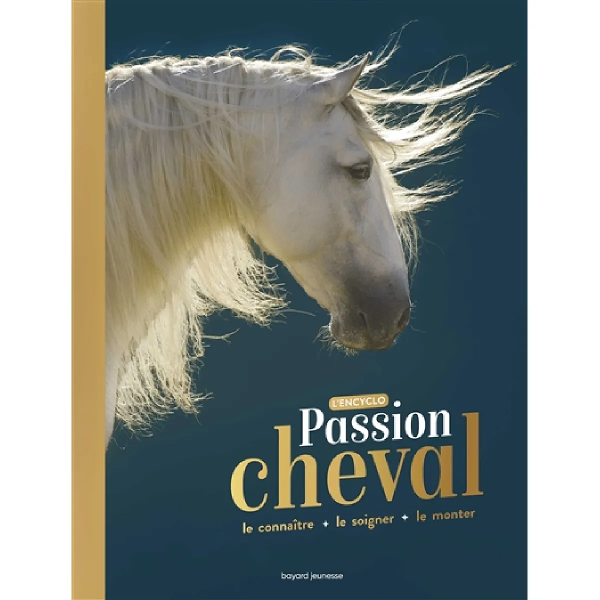 Passion cheval : l'encyclo : le connaître, le soigner, le monter · Occasion