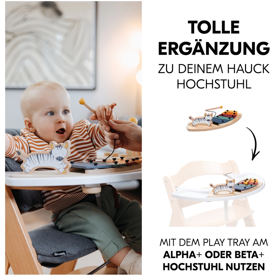 hauck Musikspielzeug Play Music Zebra