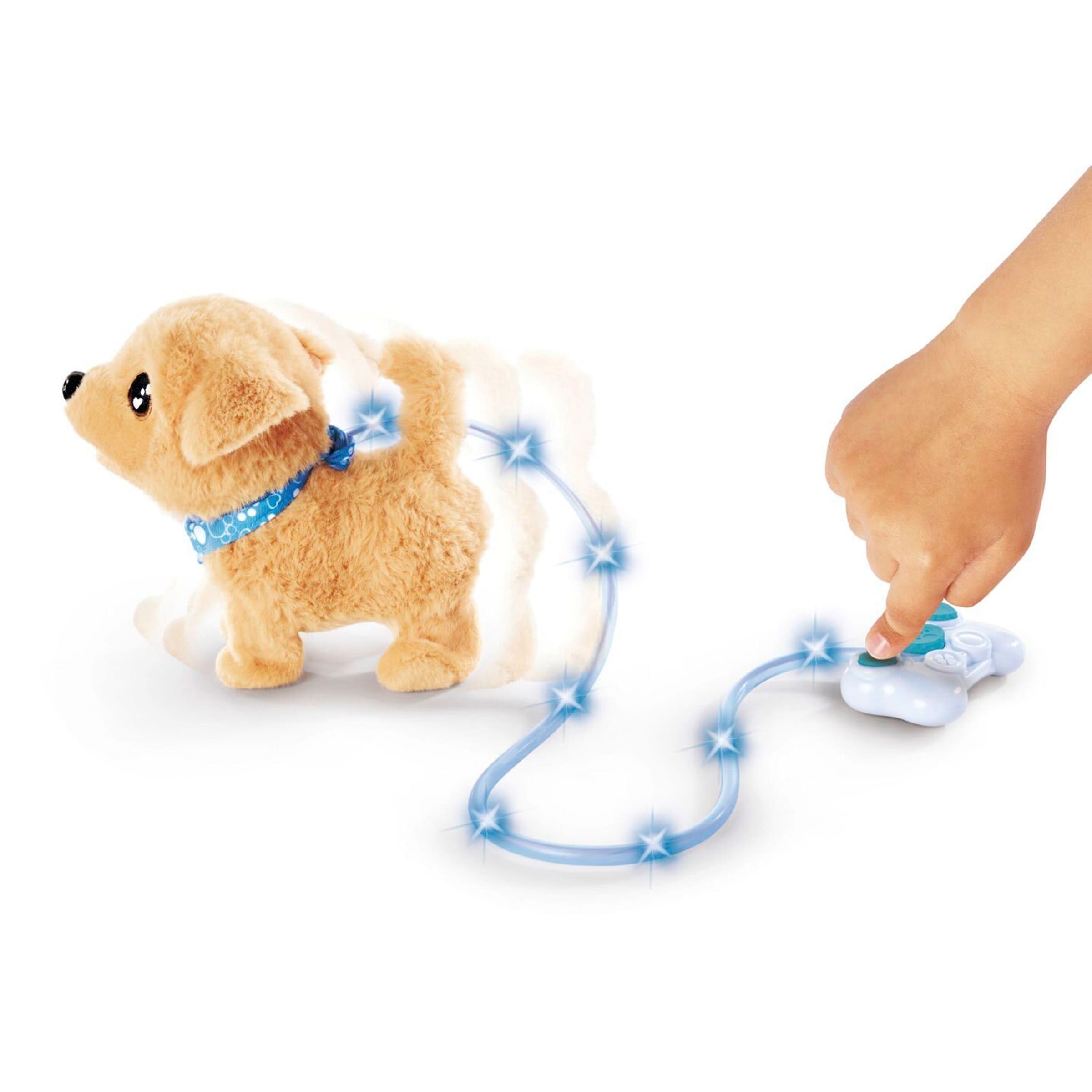 Simba - ChiChi LOVE Loomy - Golden Retriever