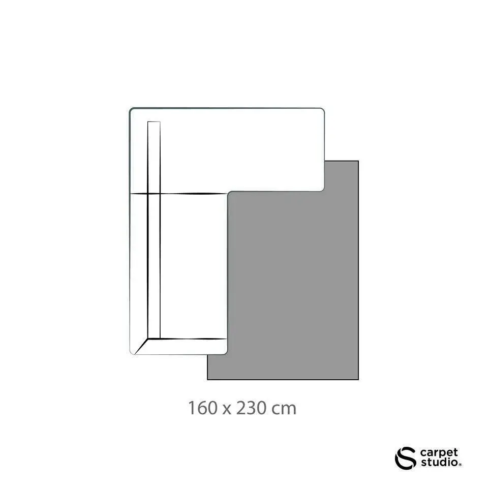 Carpet Studio Ohio Vloerkleed - Beige - 160x230cm