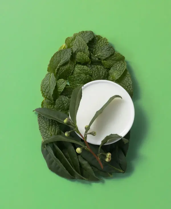 Extra Strength Refreshing Scalp and Tea Tree Mint Shampoo