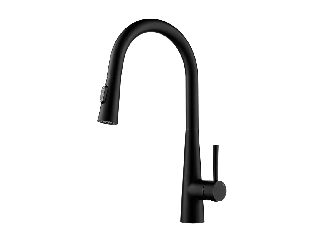 Cecipa max Mitigeur de Cuisine avec Douchette Extractible - Robinet d'Évier avec 3 Modes de Sortie D'eau - Mitigeur Cuisine en Inox - Noir,EU Modèle
