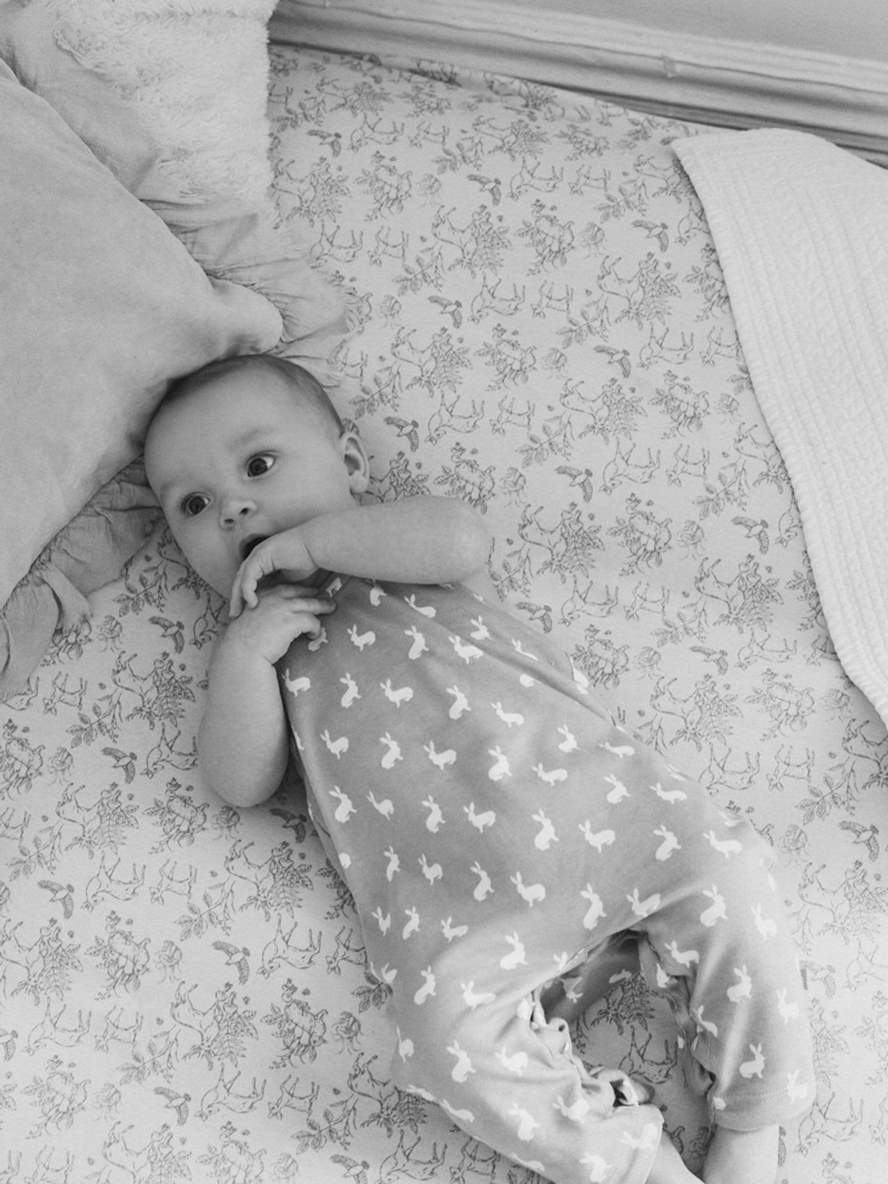 Blauw - The Little Tailor - Baby tuinbroek van 100% katoen met konijnenprint