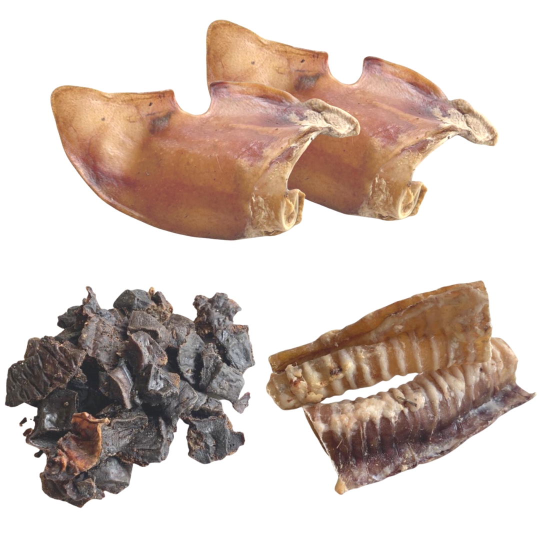 GLE PETS Caixa de Petiscos Naturais, Presentes para Cães, Petiscos Saudáveis, 6 Pacotes Sortidos, Mastigáveis Naturais, Caixa Azul
