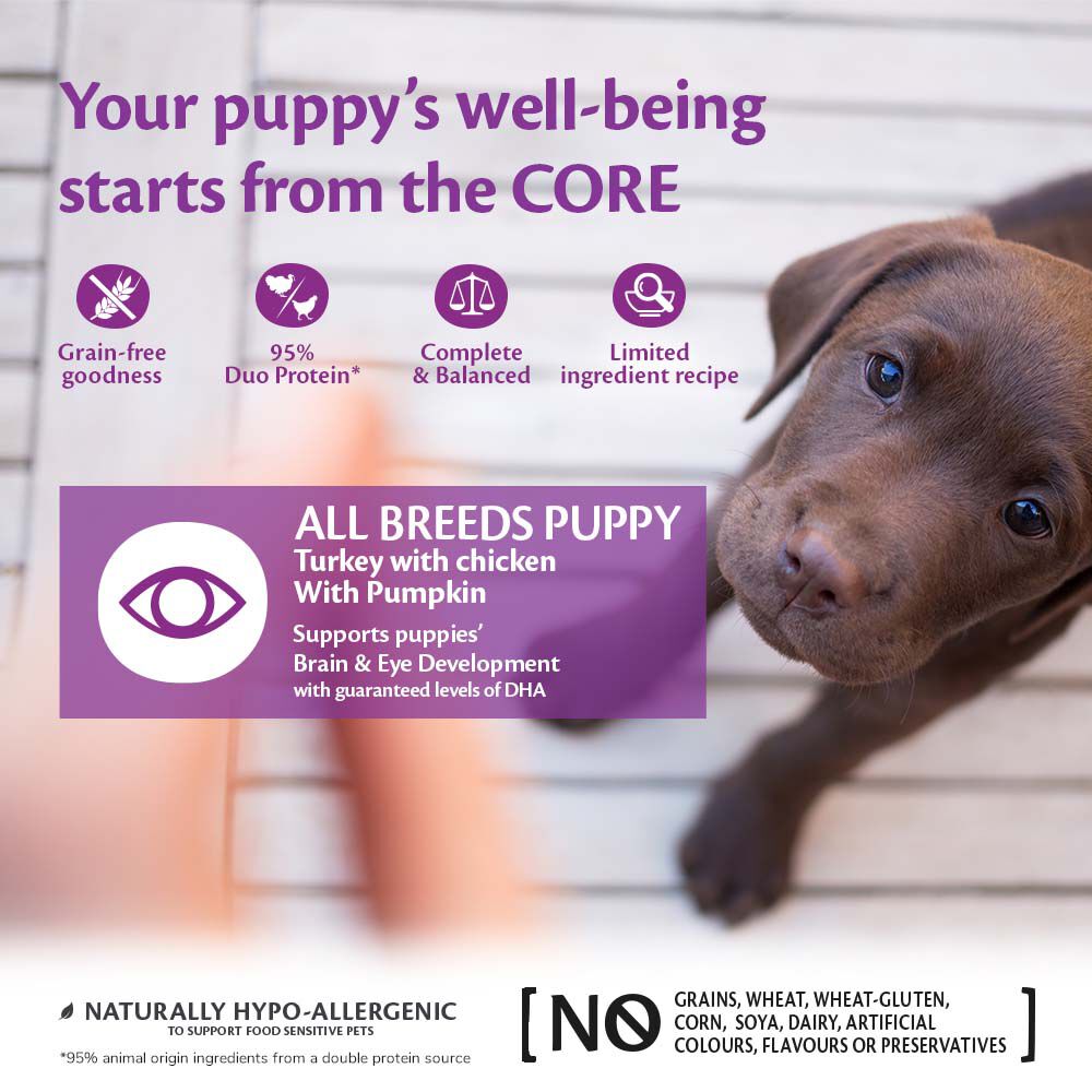 Wellness CORE Puppy Original All Breeds - Hondenvoer - 400 Gram - kalkoen, kip