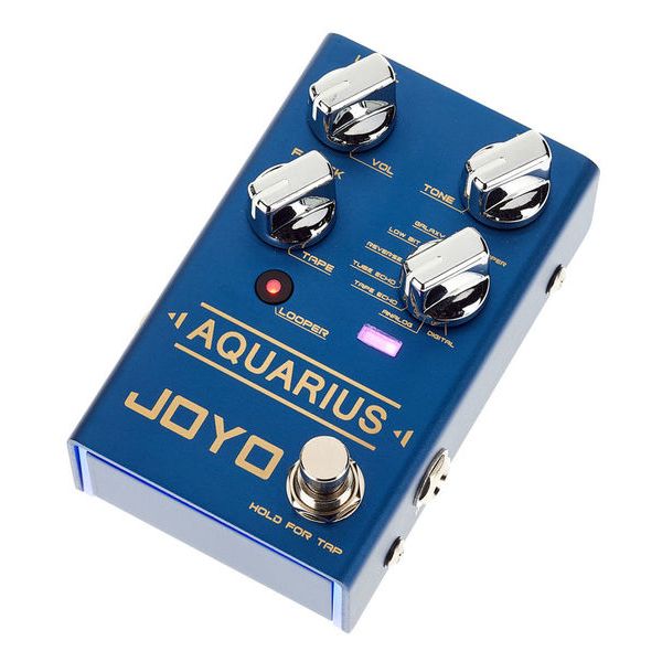 Joyo R-07 Aquarius Delay+Looper