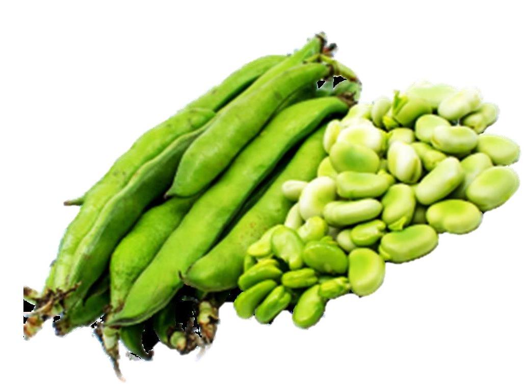 FAVAS QUINTA DAS MÉLIAS BIO KG