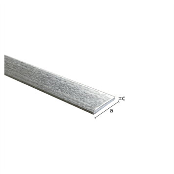 Plat profiel staal gegalvaniseerd 25x2x1000mm