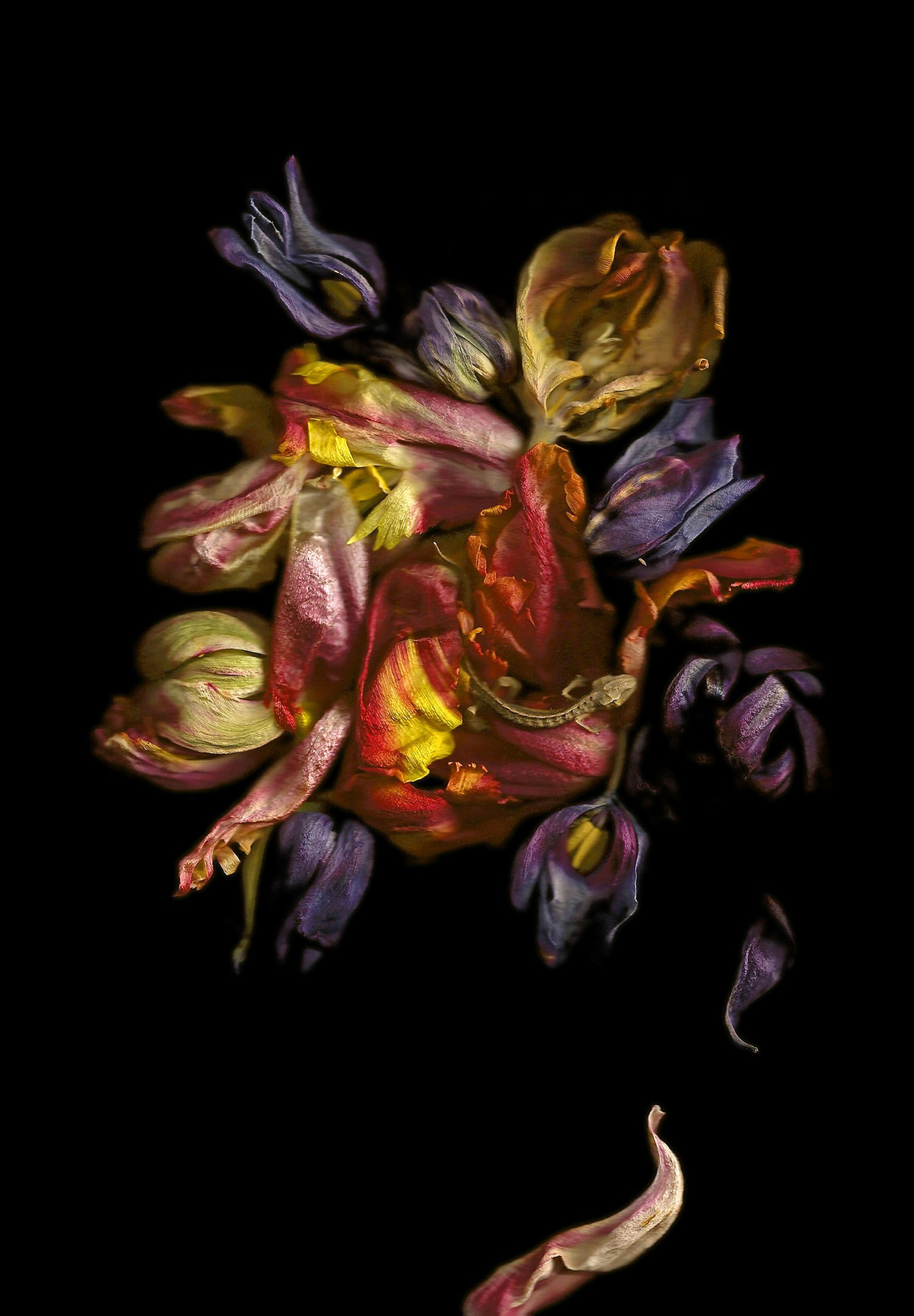 Vanitas VI by Annet van der Voort - Limited Edition. Edition of: 100. Signed.