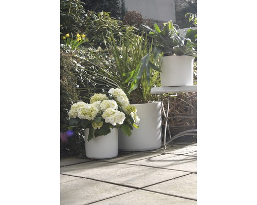 Soendgen Miami keramische bloempot, Ø 13 cm, H 11 cm, wit
