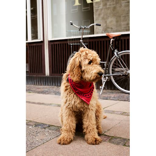 HAY Dog Hundetørklæde, Red