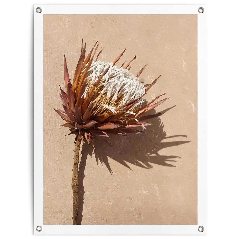 Tuinposter Schaduw bloem - 80x60cm - Bruin