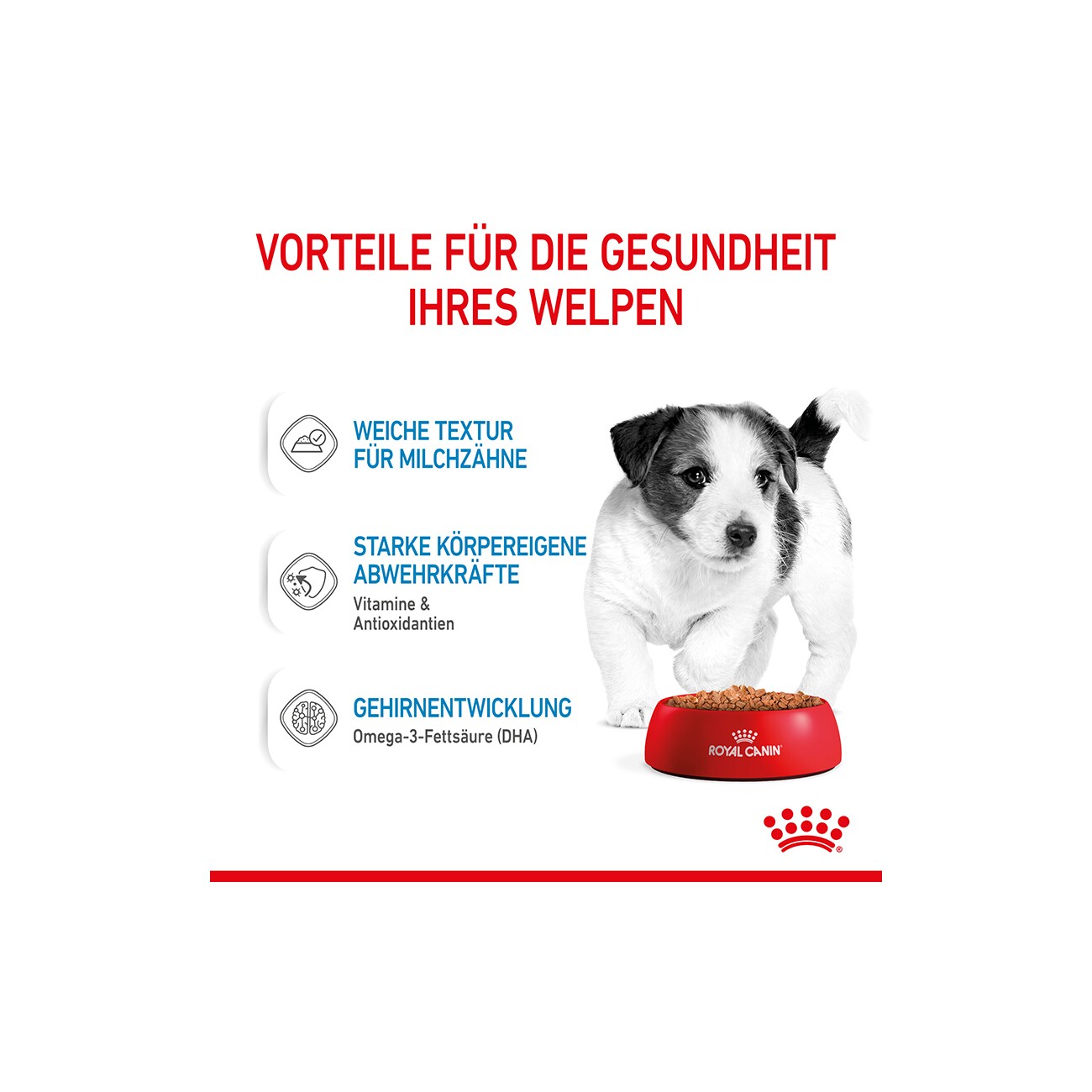 ROYAL CANIN Mini Puppy 12x85g