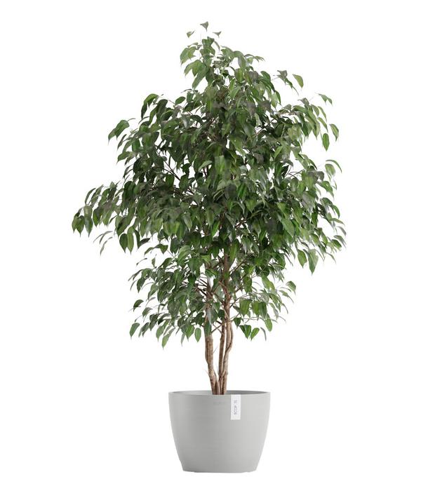 Ecopots Kunststoff-Topf Stockholm, rund