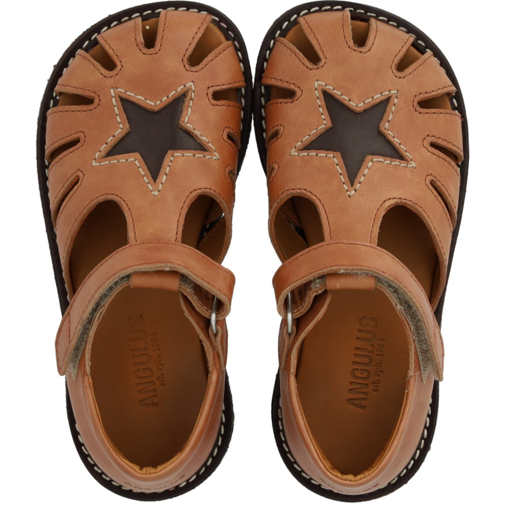 Køb Angulus Tan/Dark Brown Lædersandal Med Stjernedetalje
