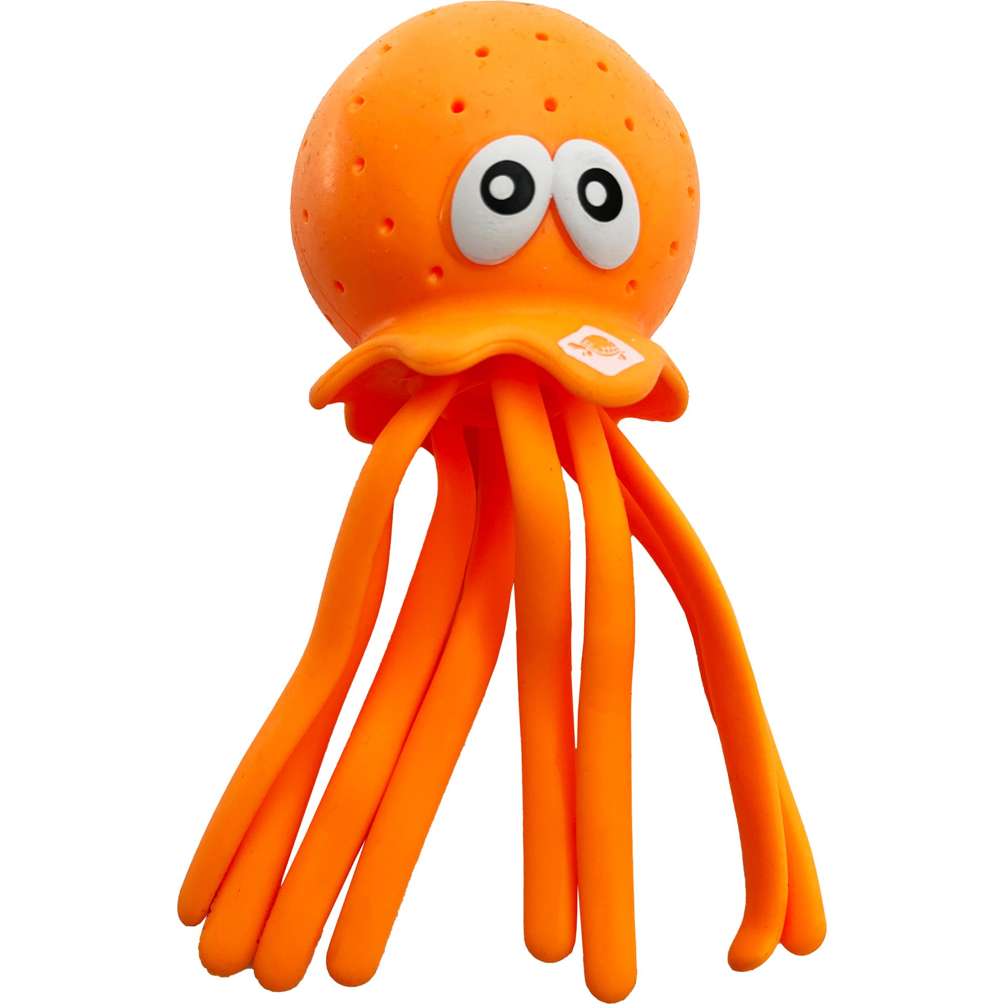 Schildkröt Fun Sports Octo Buddies Set blau