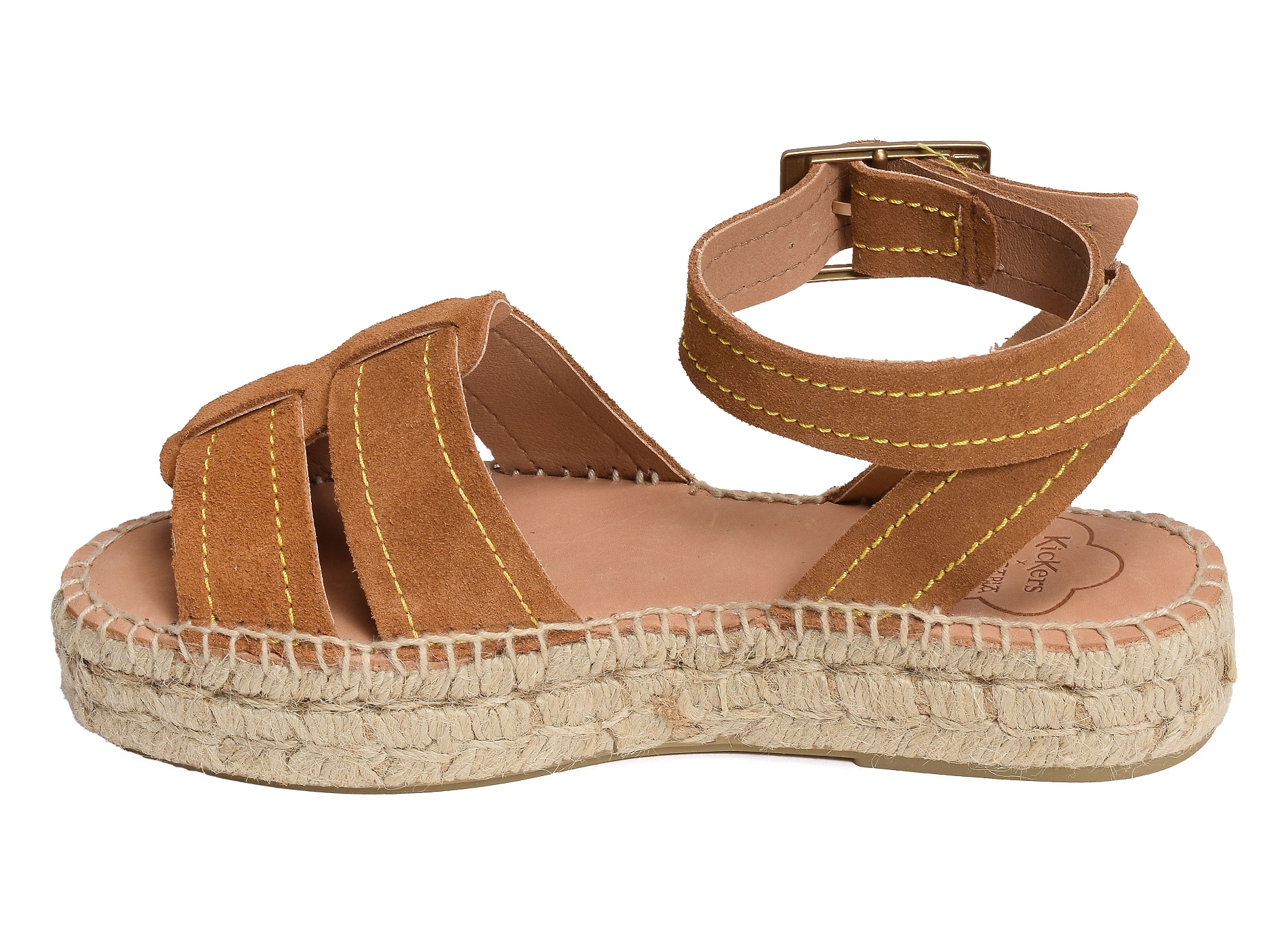 Kick parezi camel