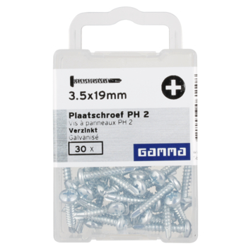 Plaatschroef Zelfborend cilinderkop verzinkt 3,5X19 mm 30 stuks