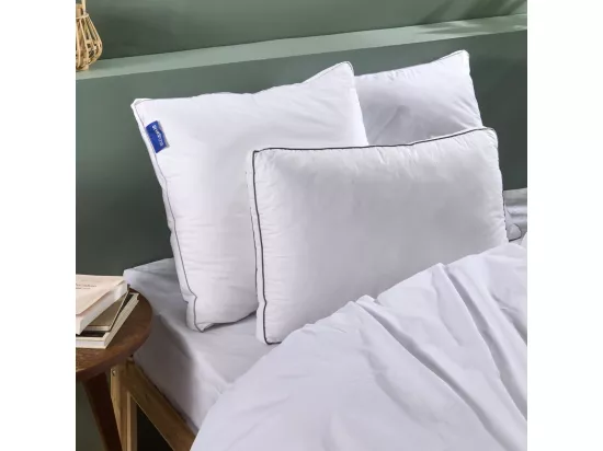 Oreiller Sensation Duvet Premium 60x60cm