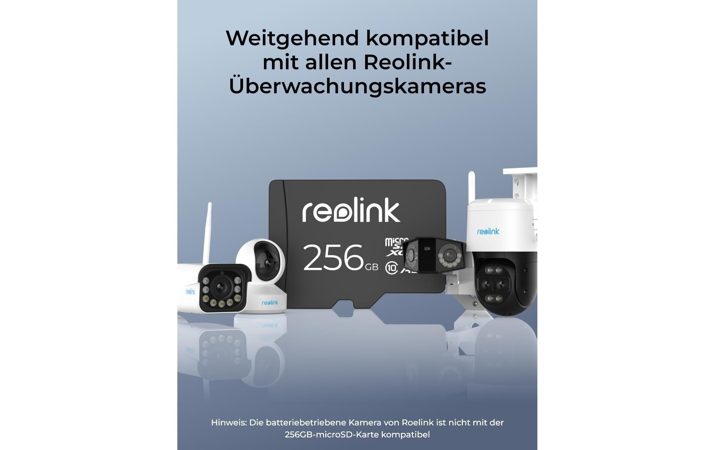 Speicherkarte RL-MicroSD-256 GB 1 StückMicro-SD Card 256 GB für alle Reolink Kameras