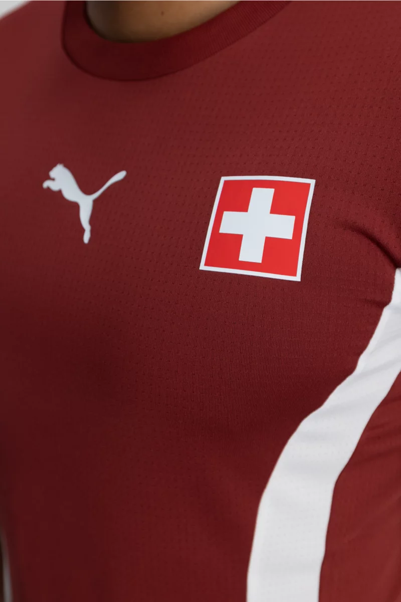 Puma Schweiz Prematch Herren T-Shirt