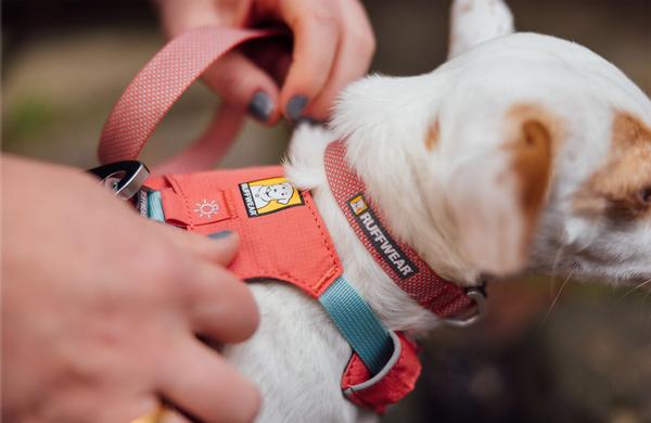 RUFFWEAR® Hundegeschirr Hi & Light™ Harness