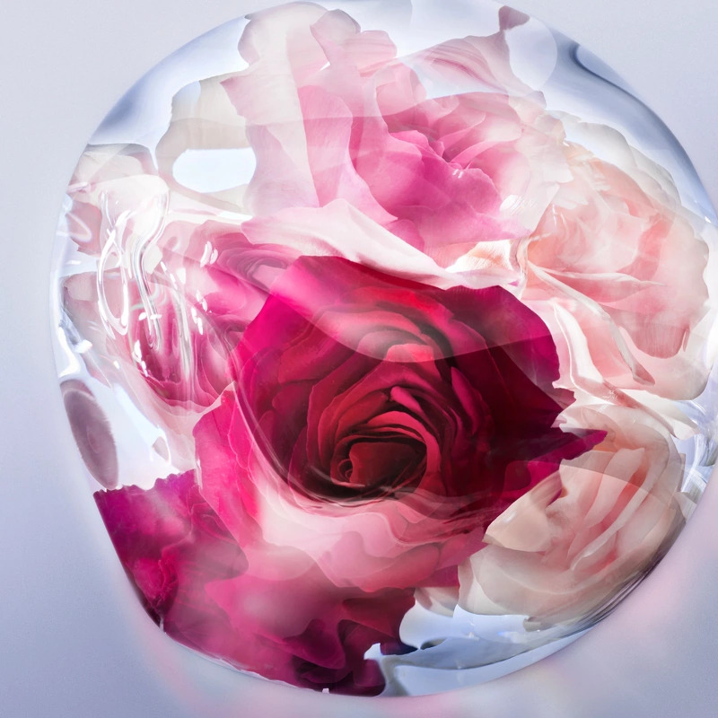Lancôme La Vie Est Belle Rose Extraordinaire EDP 50 ml