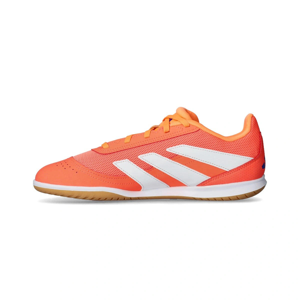Sapatilha futsal adidas Predator Club In Sala