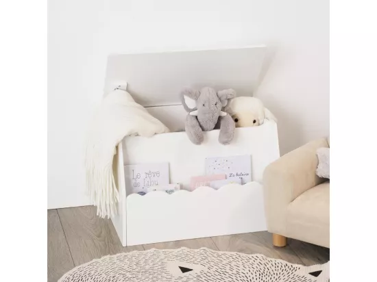 Coffre de rangement et Bibliothèque Enfant